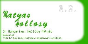 matyas hollosy business card