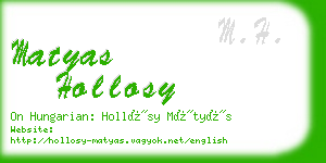 matyas hollosy business card